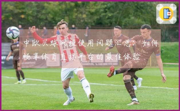 中欧买球网址使用问题汇总：如何畅享体育直播平台的最佳体验
