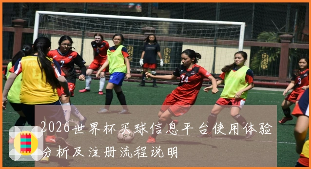 2026世界杯买球信息平台使用体验分析及注册流程说明