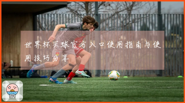 世界杯买球官方入口使用指南与使用技巧分享