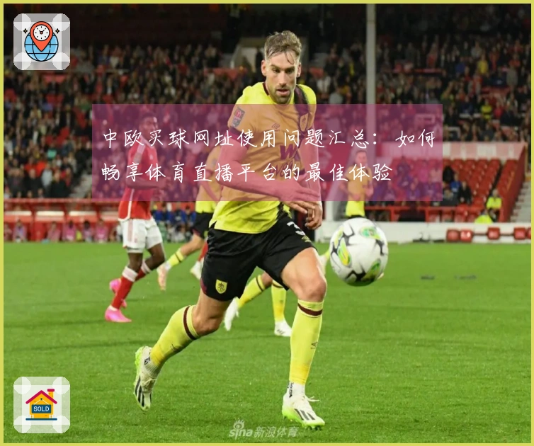 中欧买球网址使用问题汇总：如何畅享体育直播平台的最佳体验