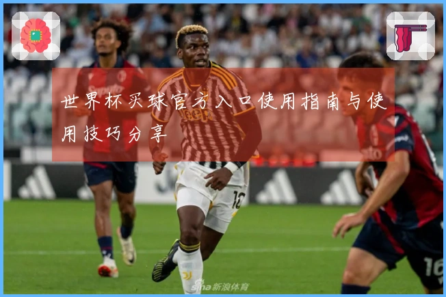 世界杯买球官方入口使用指南与使用技巧分享