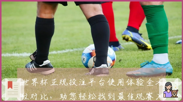 世界杯正规投注平台使用体验全方位对比，助您轻松找到最佳观赛入口与流畅功能