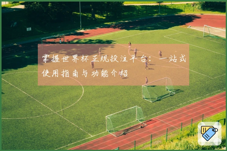 掌握世界杯正规投注平台：一站式使用指南与功能介绍