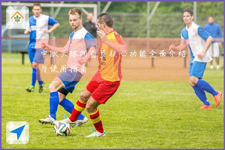 中欧买球网首页核心功能全面介绍与使用指南