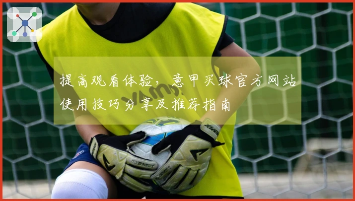 提高观看体验，意甲买球官方网站使用技巧分享及推荐指南