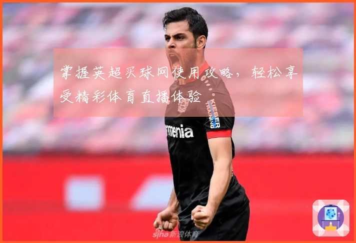 掌握英超买球网使用攻略，轻松享受精彩体育直播体验