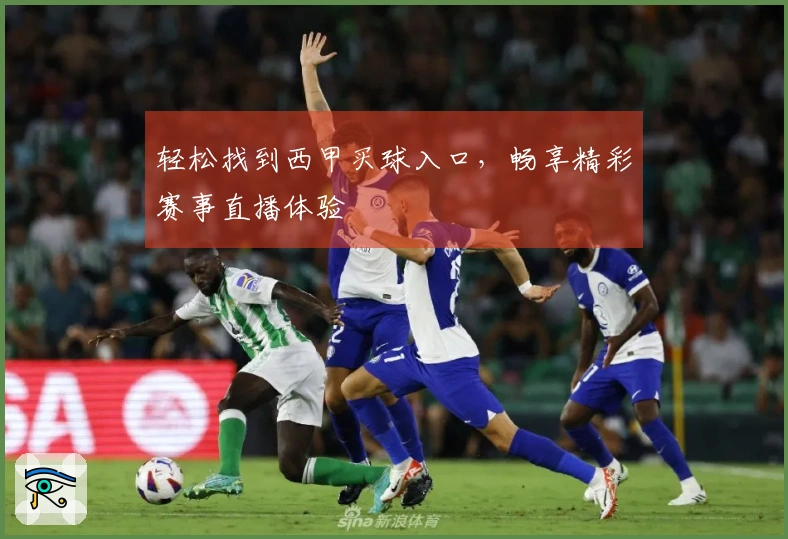 轻松找到西甲买球入口，畅享精彩赛事直播体验