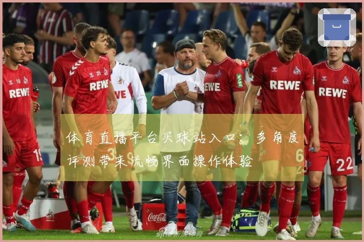 体育直播平台买球站入口：多角度评测带来流畅界面操作体验