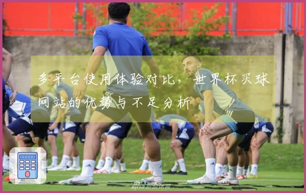 多平台使用体验对比，世界杯买球网站的优势与不足分析