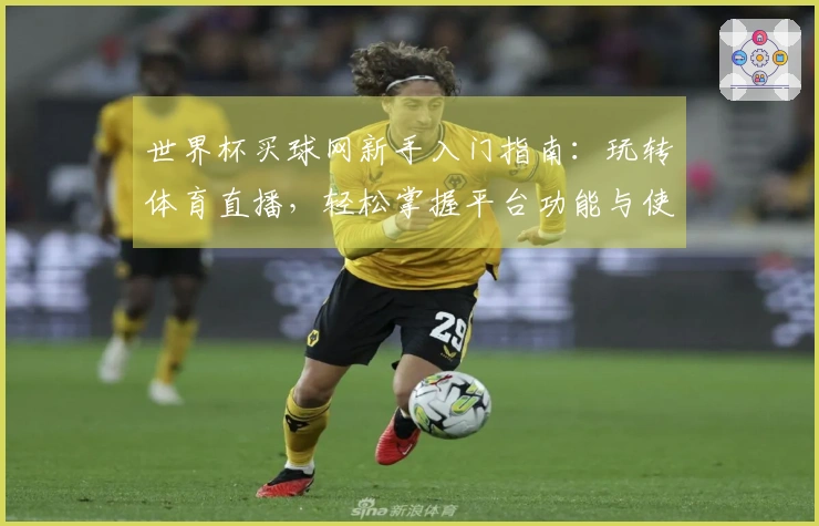 世界杯买球网新手入门指南：玩转体育直播，轻松掌握平台功能与使用体验
