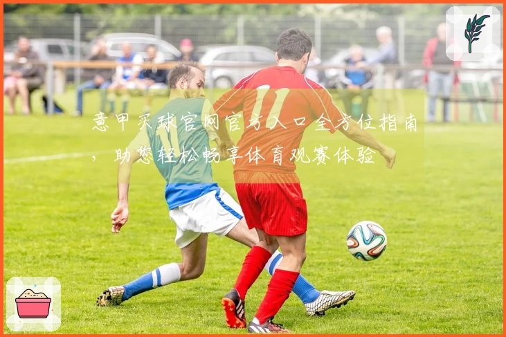 意甲买球官网官方入口全方位指南，助您轻松畅享体育观赛体验